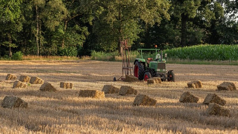 Stand van zaken nieuw GLB  