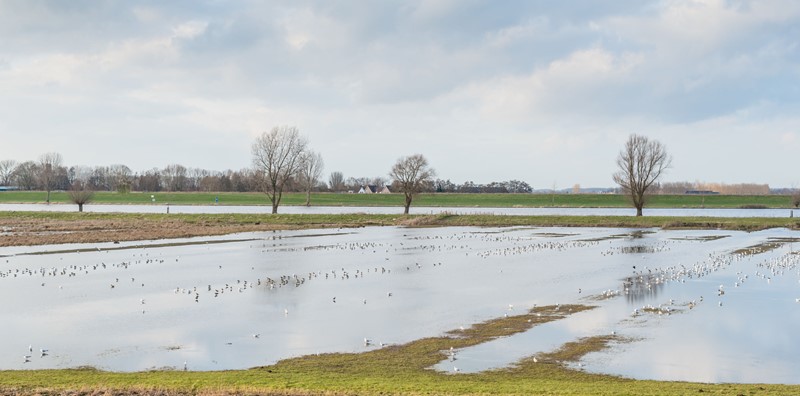 Subsidieregeling overstromingsschade 2021  