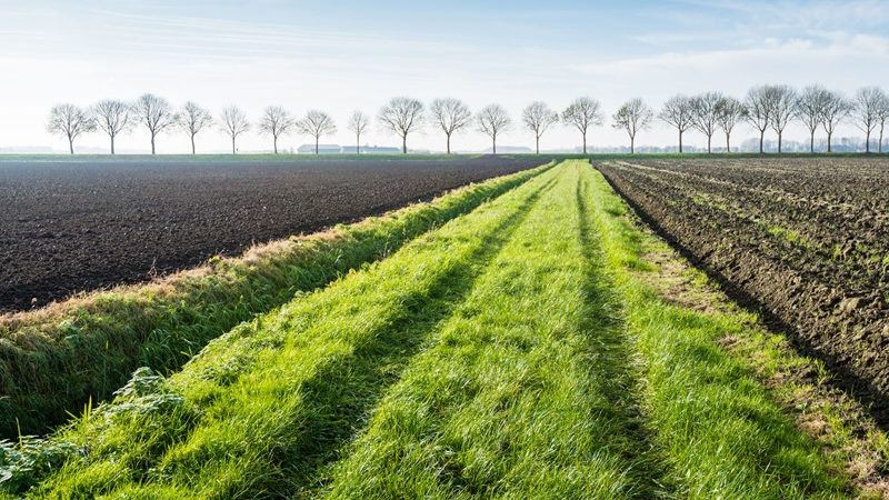 Kamervragen invloed Didam-arrest op pachtovereenkomsten  