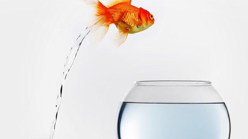 Werknemer gehouden aan concurrentiebeding  