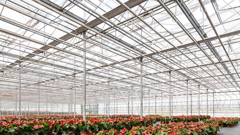 Fiscale klimaatmaatregelen glastuinbouw  