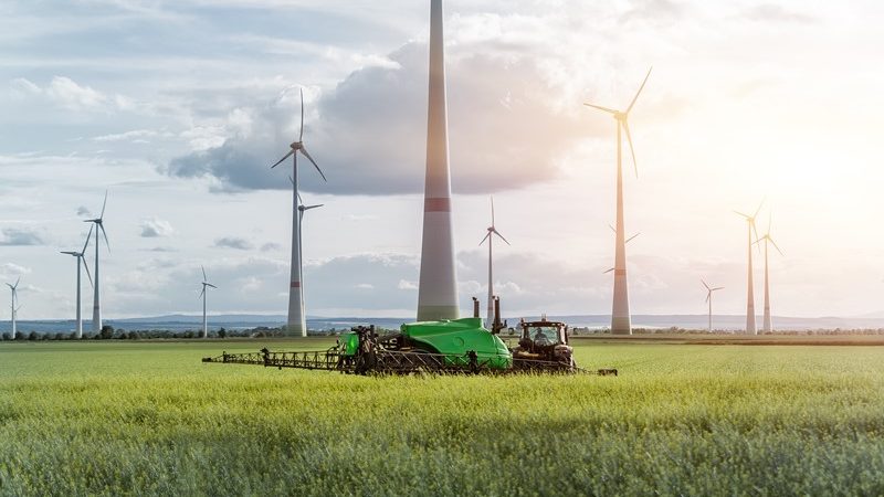 Verlenging en openstelling EZK- en LNV-subsidies  