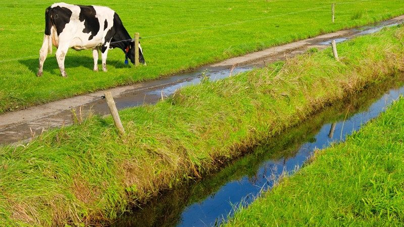 Verbouwing voor rekening bv was uitdeling van winst aan dga  