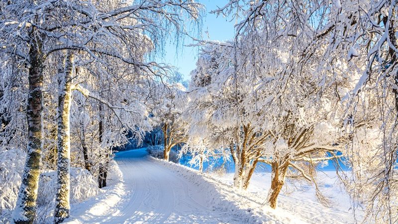 Grond opknippen in postzegelperceeltjes  