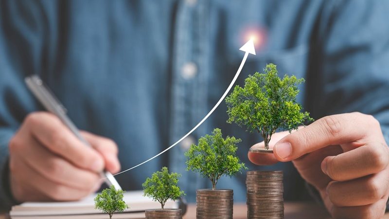 Renteroulette: gekibbel om een lening van de bv  