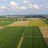 Regelgeving scheuren grasland