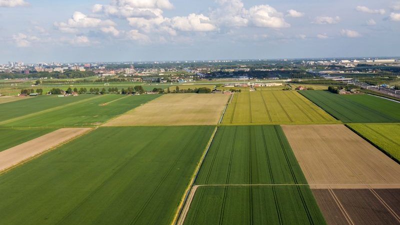 Regelgeving scheuren grasland  