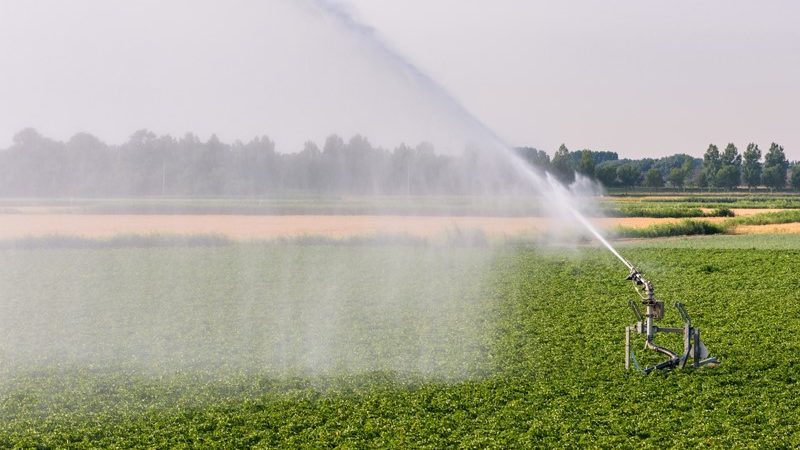 Nieuwe pachtnormen per 1 juli 2024  