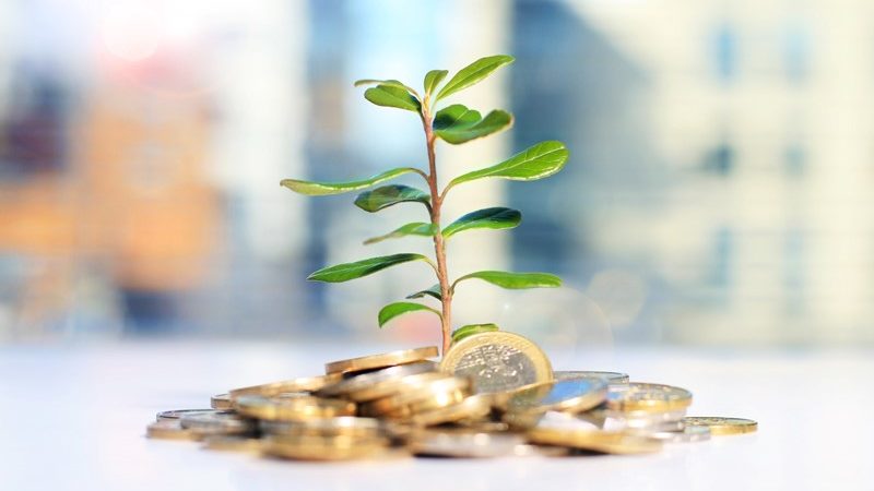 Onderzoek gevolgen beperking vrijstelling groen beleggen per 1 januari 2025  