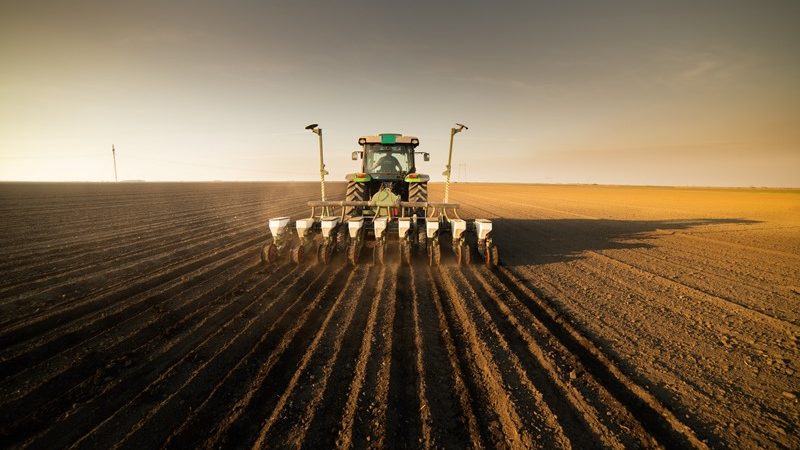 Landbouwvrijstelling bij inbreng van cultuurgrond in maatschap  