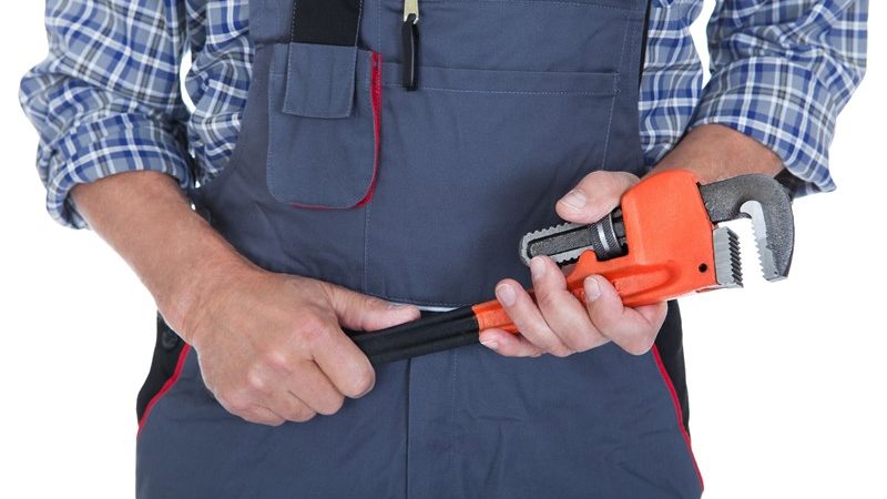 Zelfstandig ondernemer of toch resultaatgenieter?  