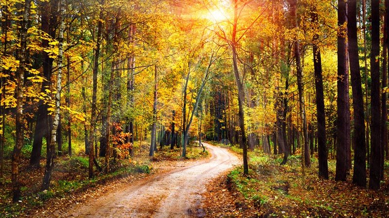 Vastgoedconstructie leidt tot resultaat uit overige werkzaamheden  