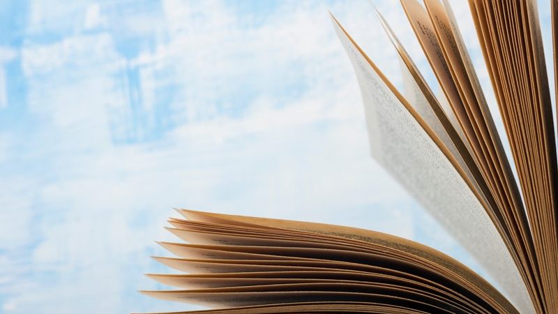 Handboek Dienst Toeslagen nu voor iedereen beschikbaar  