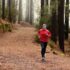 Personal training dga valt onder arbovrijstelling